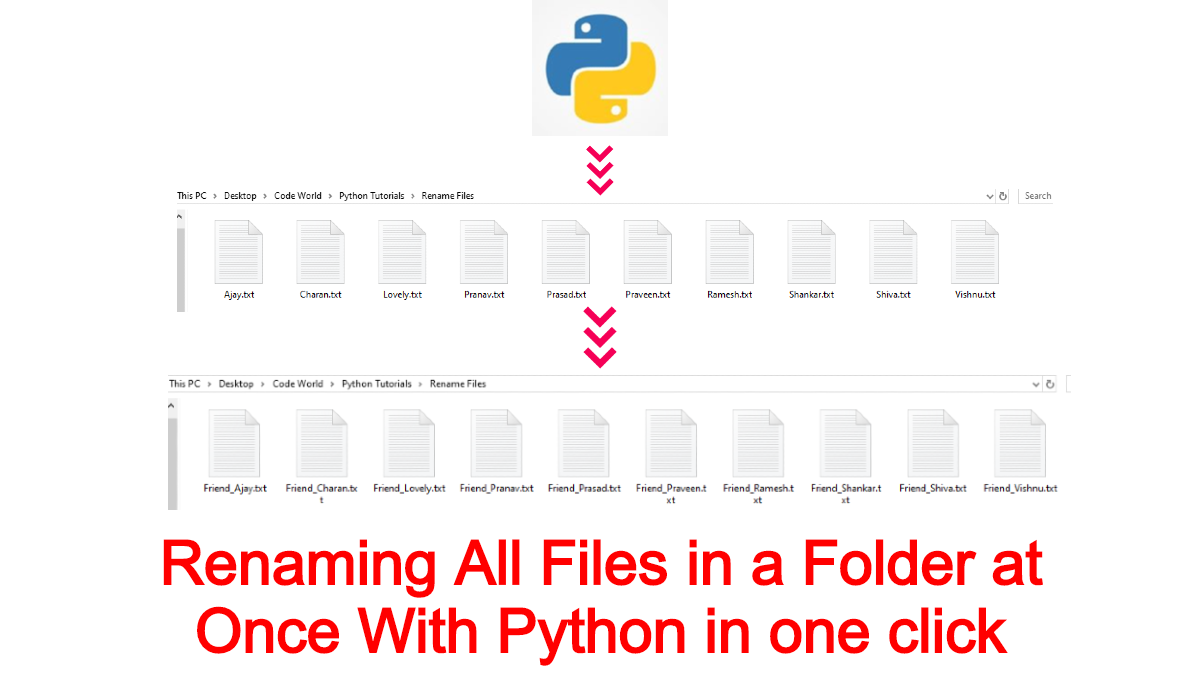 Rename All Files in a Folder With Python